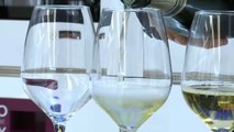 Expo: tutto sul padiglione del vino