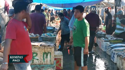 Ancaman Kandungan Mikroplastik Dalam ikan Makin Nyata, Apa Langkah Pemerintah?