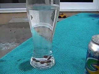 Dancing Rasins | Weird Science Experiment