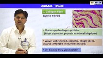 Animal tissue 03 by MJ sir  (join telegram 