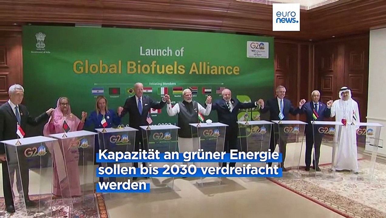 G20-Gipfel will mehr erneuerbare Energien