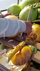 Super Big Coconut Cutting