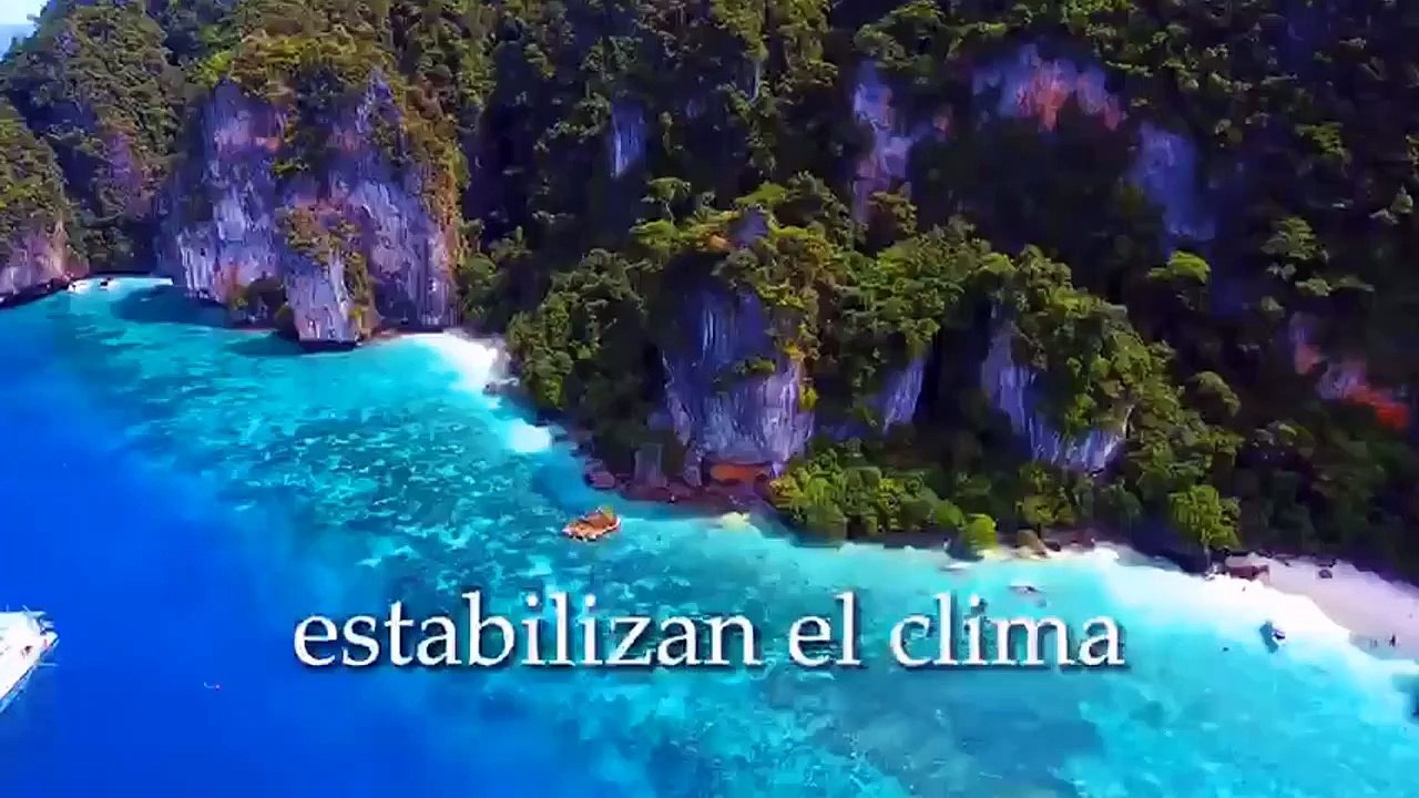 EL MAR...