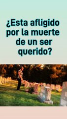 LA RESURRECCION ¿SERA UNA REALIDAD Y DONDE?...