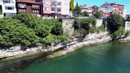 Amasra Kalesi'nde Bitki Temizliği Çalışması Başlatıldı