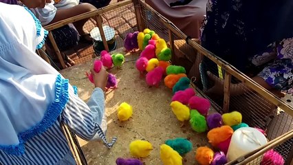 VIDEO SINGKAT ANAK-ANAK BERMAIN