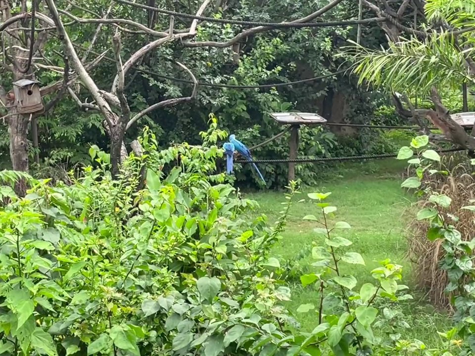 Feel the nature || Travelling rock garden chandigarh || sukhna lake || city view