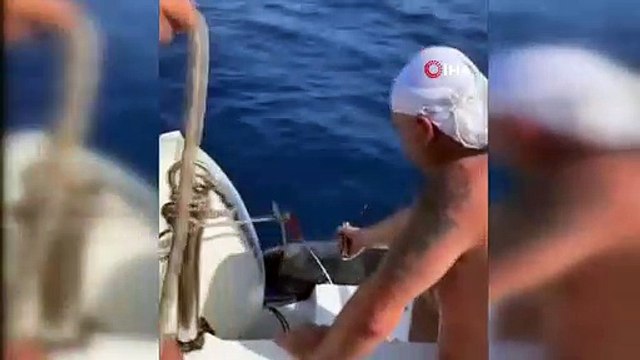 Mersin'de Dev Orkinos Balığı Yakalandı