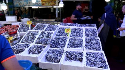 Hamsi bollaştı, fiyatı yarı yarıya düştü