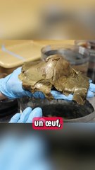 L'Énigme de l'Orbe Doré des Profondeurs !