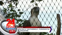 Philippine Eagle na si 