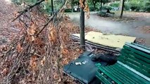 Milano, un giardino in zona Alzaia Naviglio Grande tra rami e alberi caduti