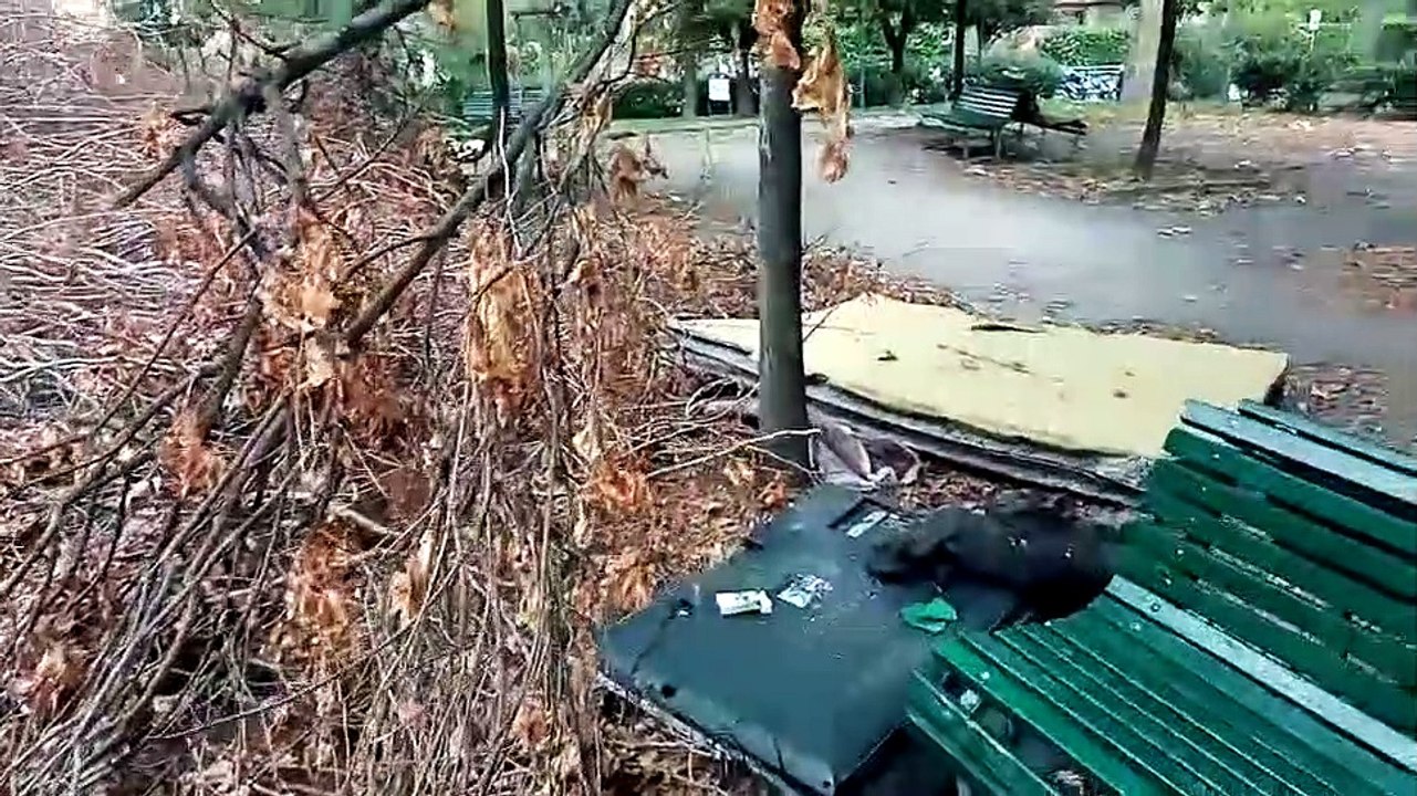 Milano, un giardino in zona Alzaia Naviglio Grande tra rami e alberi caduti
