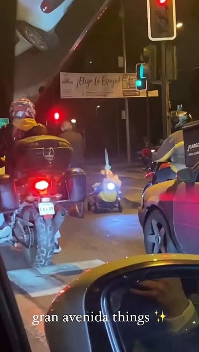Best Friend Biking