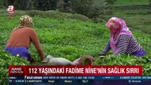 Karadeniz’in emektar kadını 112 yaşındaki Fadime Nine’nin sağlık sırrı: 