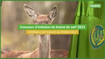 Concours d'imitation du brame du cerf 2023