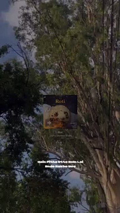 Roti