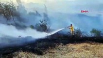 Bandırma'da Otluk Alanda Yangın Çıktı