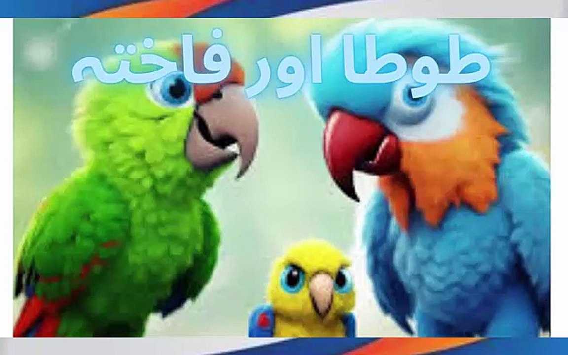 طوطا اور فاختہ