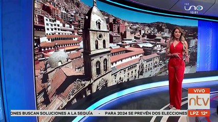 Miles de perros y gatos son inmunizados en la Campaña Nacional