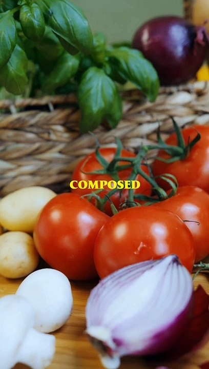 Difference between proteins and vitamins