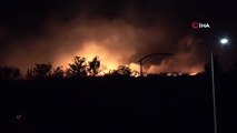 Çanakkale'de makilik alanda yangın çıktı