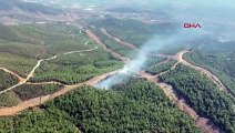 İzmir Torbalı'da Orman Yangını Çıktı