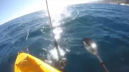 Canoista lotta contro uno squalo armato solo della pagaia