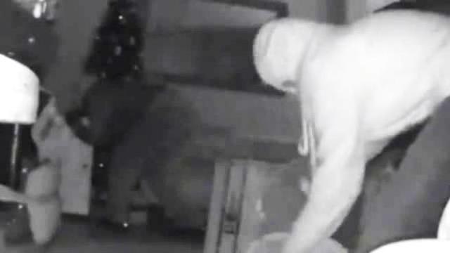 Ecco i ladri più cattivi di Natale: rubano pacchi sotto l'albero