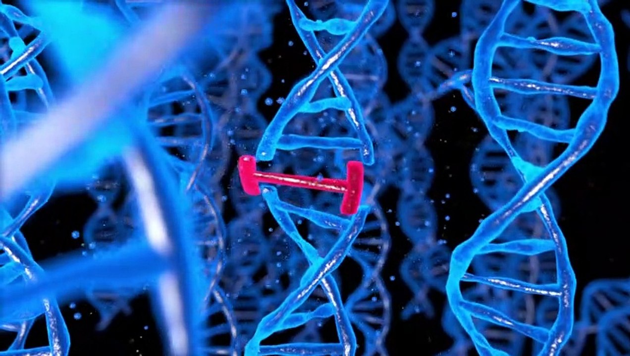GMOs in agriculture