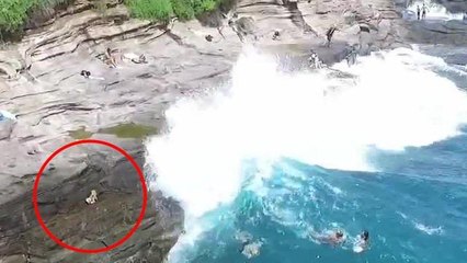 Onda gigante spazza via il cagnolino sulla scogliera