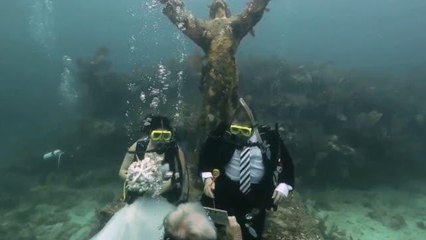 Sposi subacquei, in Florida il matrimonio è mozzafiato