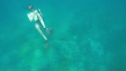Le piroette del delfino incantano i turisti delle Hawaii