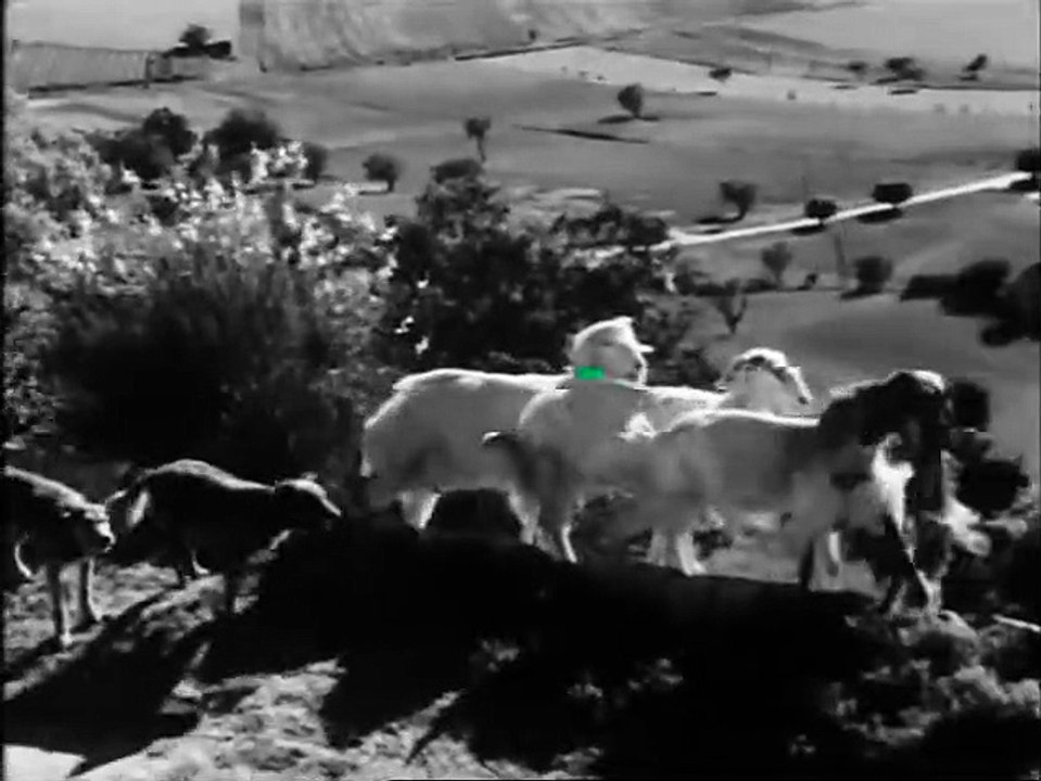 Around the World with Orson Welles | show | 1955 | Official Clip