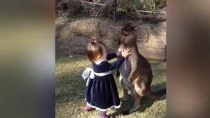 La tenera amicizia tra la bambina e il baby canguro