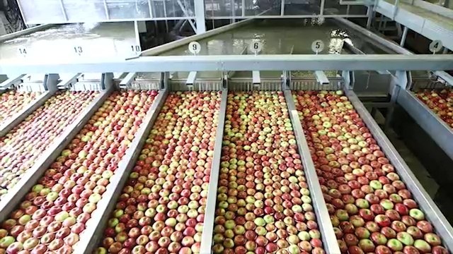 Viaggio alla scoperta del Consorzio Melavì