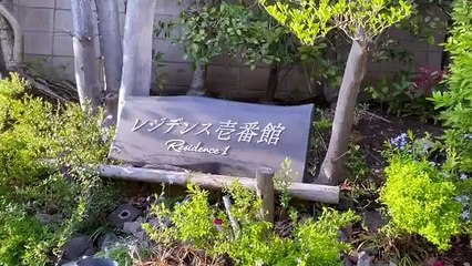 金曜 ロード ショー 今日 無料ホームシアター - リコハイ#3