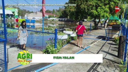 NIFTC (National Inland Fisheries Technology Center) Part 2