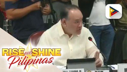 DND, humiling sa Senado ng pondo para sa paliparan at pantalan sa WPS