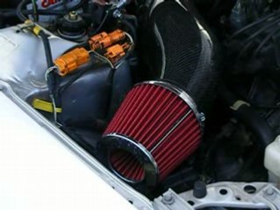 Limace Carbon on a Delsol