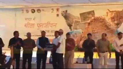 श्योपुर: प्रोजेक्ट चीता का एक साल पूरा, चीता मित्रों का हुआ सम्मान