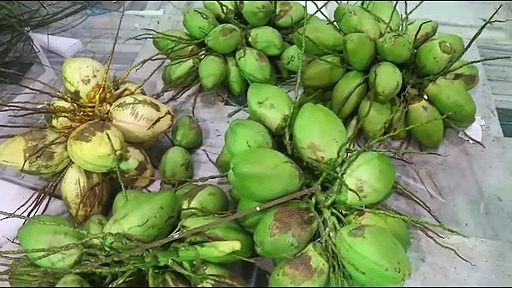 10ஆயிரம் தேங்காயுடன் தென்னந்தோப்புக்குள் நடுவே வடிவமைக்கப்பட்ட 14 அடி உயரத்தில் விநாயகர்- பக்தர்கள் தரிசனம்