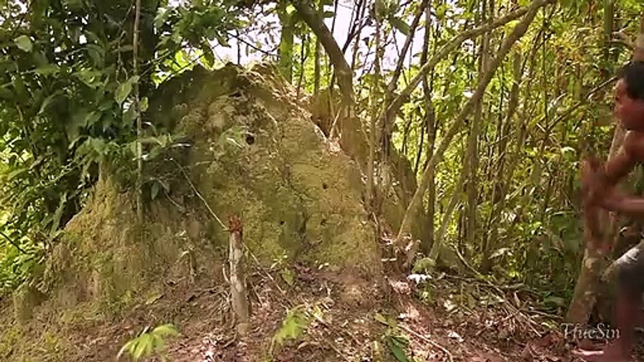 Dig Termite mound to Building Underground House
