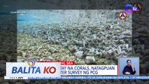 Maritime law expert: Ginagamit na pandekorasyon o alahas ang mga nawalang corals sa Iroquois Reef | BK