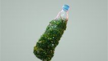 Aus diesem Grund solltest du Plastikflaschen besser nicht wiederverwenden