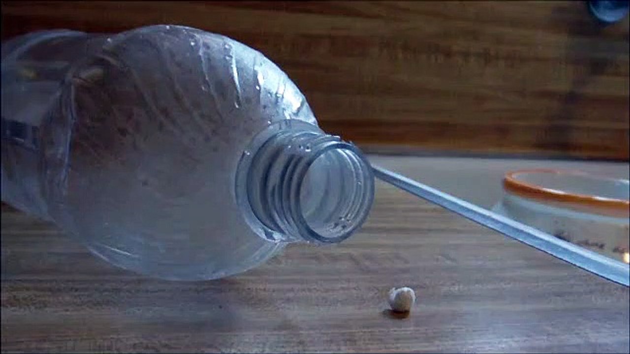 Million Dollar Bet Weird Science Experiment video Dailymotion