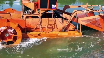 Ankara Büyükşehir Belediyesi, baraj ve göletlerdeki yosunları temizliyor