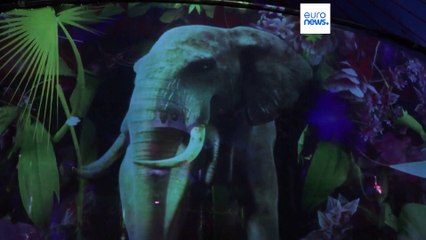 Il circo etico: ologrammi al posto degli animali