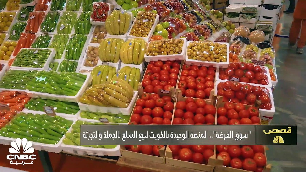 ما هي أهم استثمارات الدول العربية؟ وكيف يبدو مشهد "العودة للمدارس" في هذه الدول؟