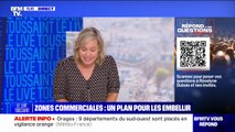 Zones commerciales: quel plan pour les embellir? BFMTV répond à vos questions